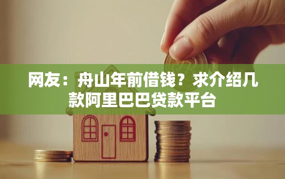 网友：舟山年前借钱？求介绍几款阿里巴巴贷款平台