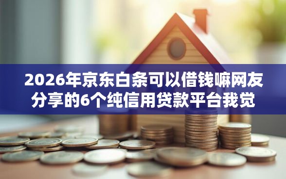2026年京东白条可以借钱嘛网友分享的6个纯信用贷款平台我觉得不错！