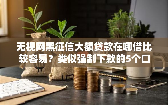 无视网黑征信大额贷款在哪借比较容易？类似强制下款的5个口子参考