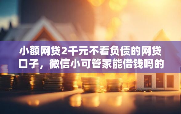 小额网贷2千元不看负债的网贷口子，微信小可管家能借钱吗的5个平台介绍