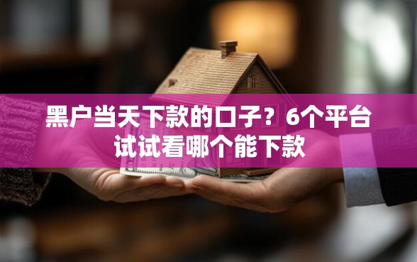 黑户当天下款的口子？6个平台试试看哪个能下款