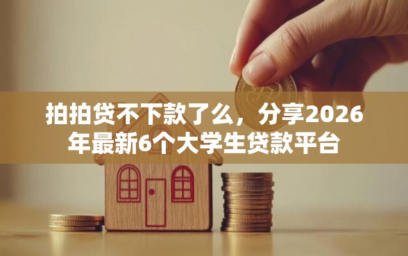 拍拍贷不下款了么，分享2026年最新6个大学生贷款平台
