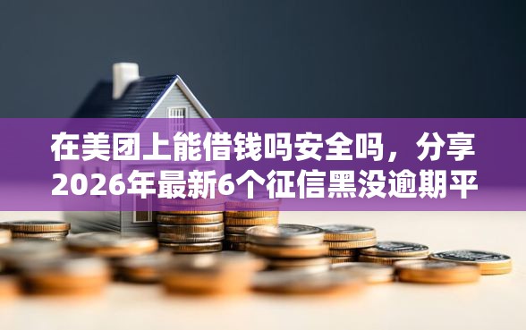 在美团上能借钱吗安全吗，分享2026年最新6个征信黑没逾期平台可以贷到钱