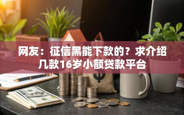 网友：征信黑能下款的？求介绍几款16岁小额贷款平台