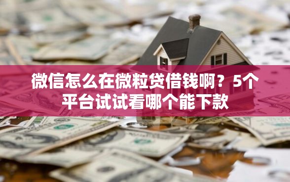 微信怎么在微粒贷借钱啊？5个平台试试看哪个能下款