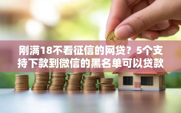 刚满18不看征信的网贷？5个支持下款到微信的黑名单可以贷款的平台