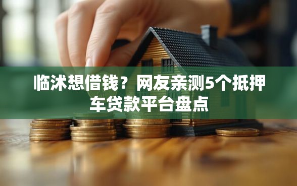 临沭想借钱？网友亲测5个抵押车贷款平台盘点