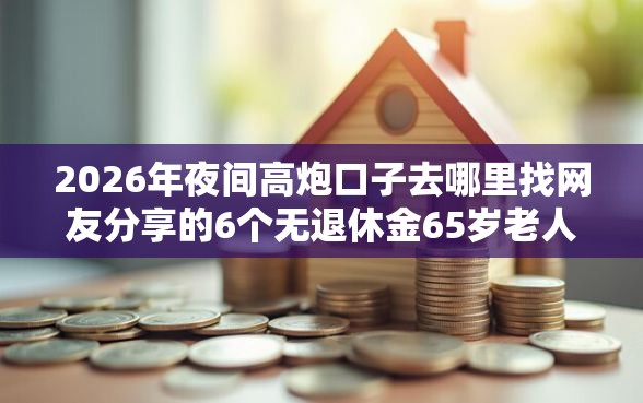 2026年夜间高炮口子去哪里找网友分享的6个无退休金65岁老人贷款平台我觉得不错！