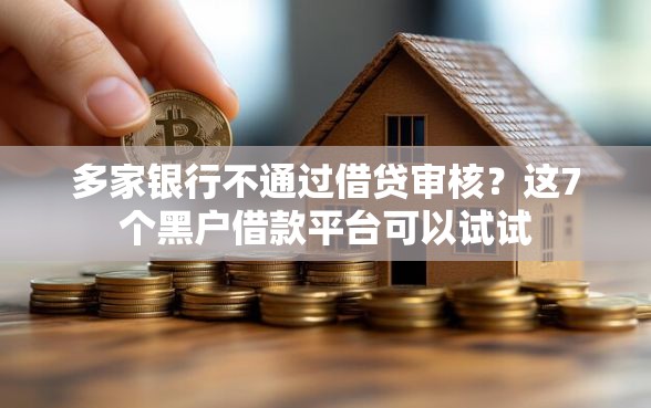 多家银行不通过借贷审核？这7个黑户借款平台可以试试