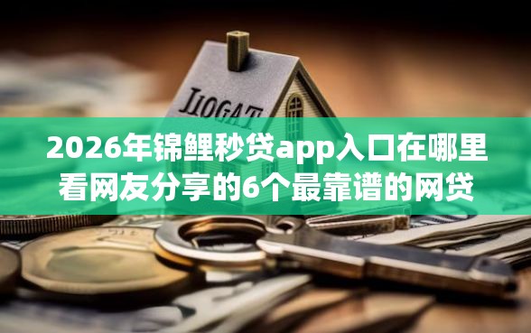 2026年锦鲤秒贷app入口在哪里看网友分享的6个最靠谱的网贷平台我觉得不错！