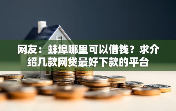 网友：蚌埠哪里可以借钱？求介绍几款网贷最好下款的平台