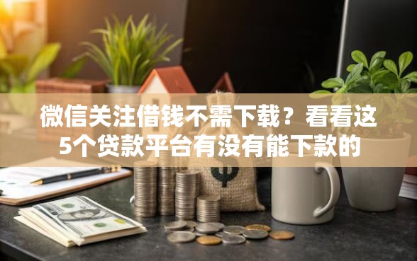 微信关注借钱不需下载？看看这5个贷款平台有没有能下款的
