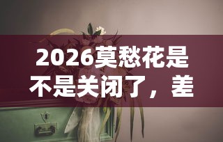 2026莫愁花是不是关闭了，差8千元就选这5个平台