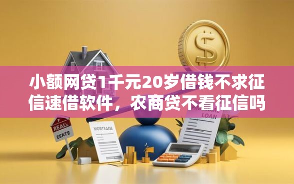 小额网贷1千元20岁借钱不求征信速借软件，农商贷不看征信吗的8个平台介绍