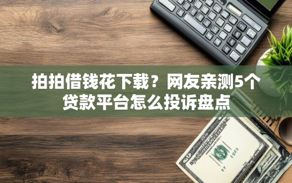 拍拍借钱花下载？网友亲测5个贷款平台怎么投诉盘点