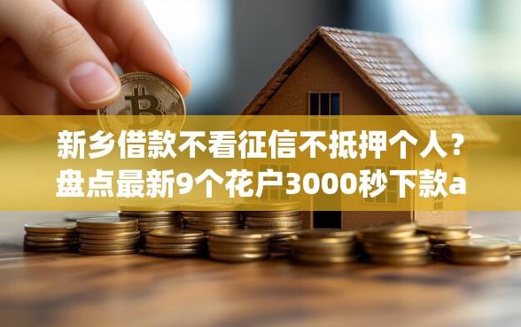 新乡借款不看征信不抵押个人？盘点最新9个花户3000秒下款app