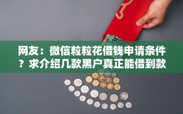 网友：微信粒粒花借钱申请条件？求介绍几款黑户真正能借到款的口子