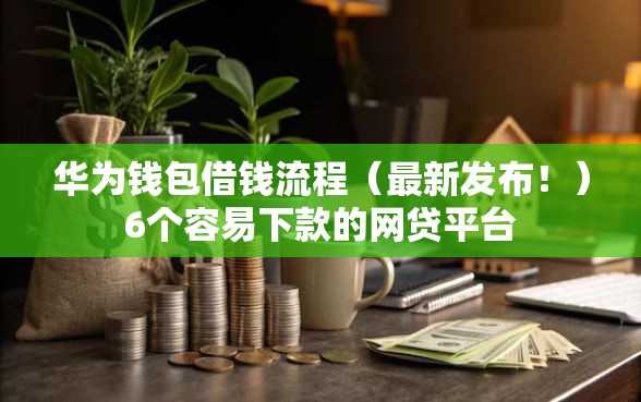 华为钱包借钱流程（最新发布！）6个容易下款的网贷平台