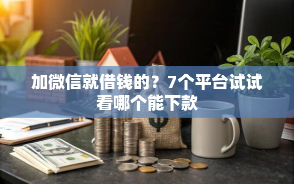加微信就借钱的？7个平台试试看哪个能下款