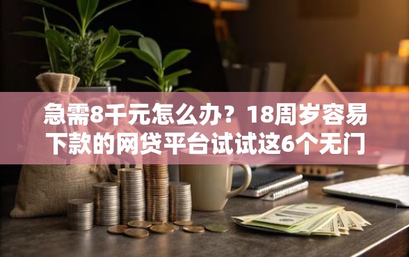 急需8千元怎么办？18周岁容易下款的网贷平台试试这6个无门槛平台