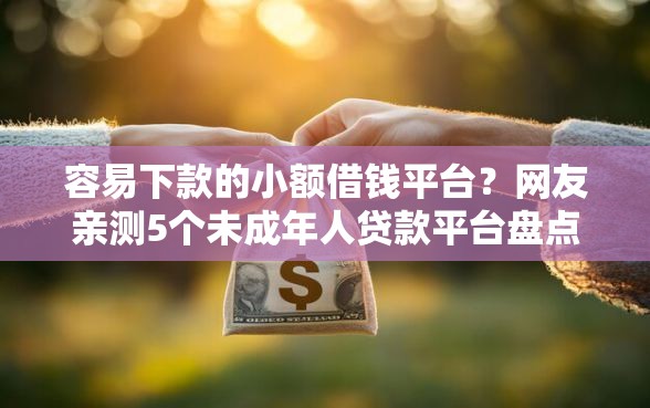 容易下款的小额借钱平台？网友亲测5个未成年人贷款平台盘点