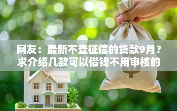 网友：最新不查征信的贷款9月？求介绍几款可以借钱不用审核的软件