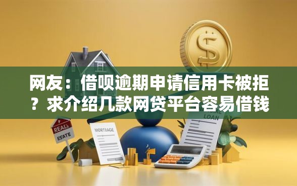 网友：借呗逾期申请信用卡被拒？求介绍几款网贷平台容易借钱