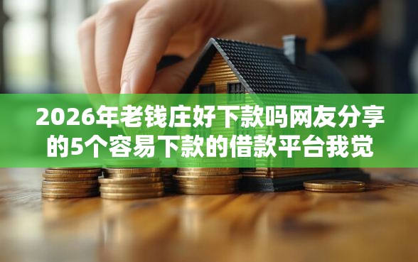 2026年老钱庄好下款吗网友分享的5个容易下款的借款平台我觉得不错！