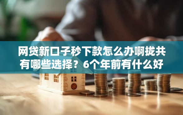 网贷新口子秒下款怎么办啊拢共有哪些选择？6个年前有什么好下款的贷款平台详解