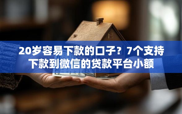 20岁容易下款的口子？7个支持下款到微信的贷款平台小额