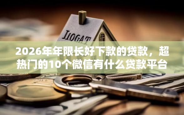 2026年年限长好下款的贷款，超热门的10个微信有什么贷款平台推荐