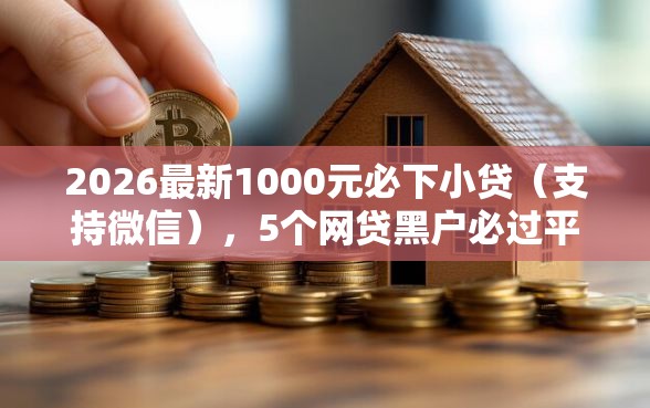 2026最新1000元必下小贷（支持微信），5个网贷黑户必过平台无私分享