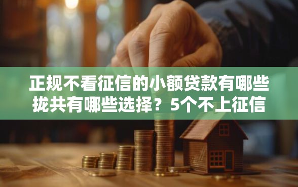 正规不看征信的小额贷款有哪些拢共有哪些选择？5个不上征信的黑口子详解