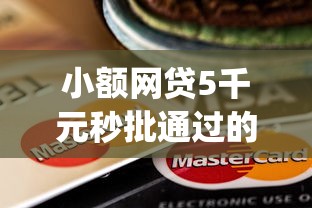 小额网贷5千元秒批通过的网贷app，京东平台其他贷款被拒的5个平台介绍