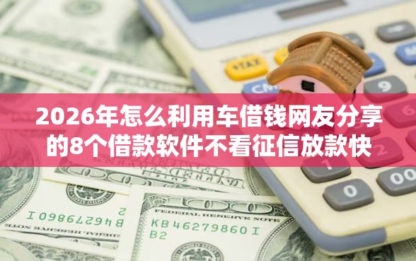 2026年怎么利用车借钱网友分享的8个借款软件不看征信放款快我觉得不错！
