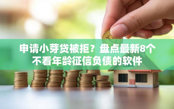 申请小芽贷被拒？盘点最新8个不看年龄征信负债的软件