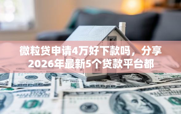 微粒贷申请4万好下款吗，分享2026年最新5个贷款平台都