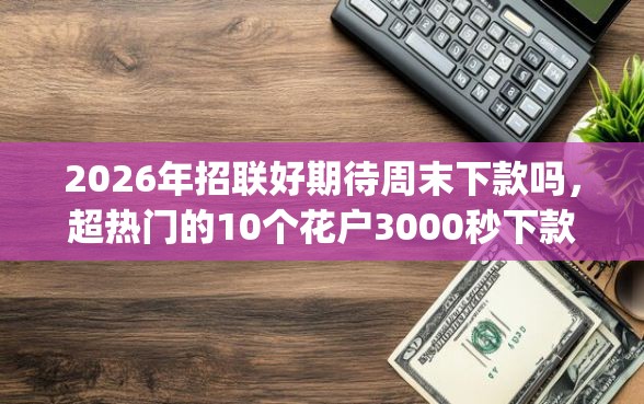 2026年招联好期待周末下款吗，超热门的10个花户3000秒下款app推荐