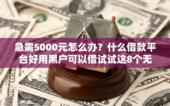 急需5000元怎么办？什么借款平台好用黑户可以借试试这8个无门槛平台