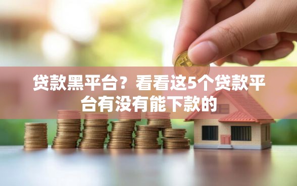 贷款黑平台？看看这5个贷款平台有没有能下款的