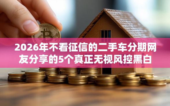 2026年不看征信的二手车分期网友分享的5个真正无视风控黑白的网贷软件我觉得不错！