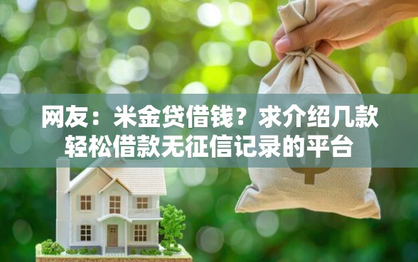 网友：米金贷借钱？求介绍几款轻松借款无征信记录的平台