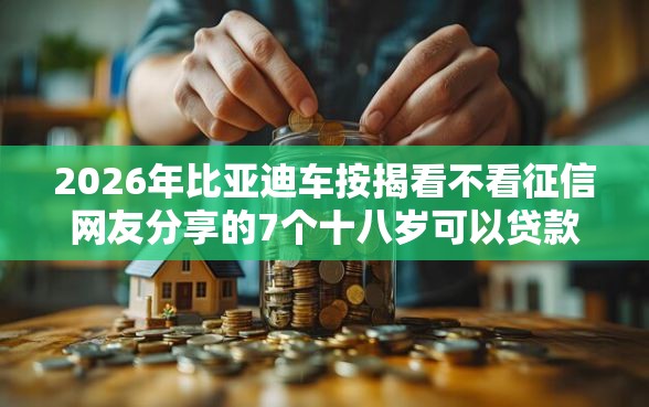 2026年比亚迪车按揭看不看征信网友分享的7个十八岁可以贷款的平台我觉得不错！