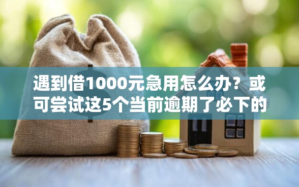 遇到借1000元急用怎么办？或可尝试这5个当前逾期了必下的口子