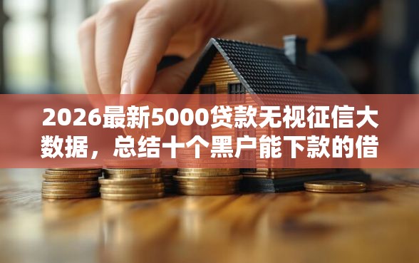 2026最新5000贷款无视征信大数据，总结十个黑户能下款的借款平台！