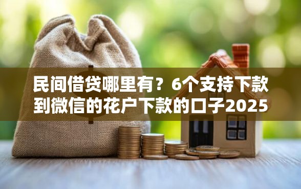 民间借贷哪里有？6个支持下款到微信的花户下款的口子2025