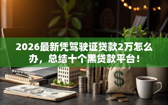 2026最新凭驾驶证贷款2万怎么办，总结十个黑贷款平台！