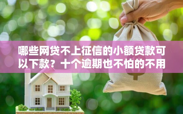 哪些网贷不上征信的小额贷款可以下款?十个逾期也不怕的不用芝麻分能借的口子 哪些网贷不上征信的小额贷款可以下款?十个逾期也不怕的不用芝麻分能借的口子
