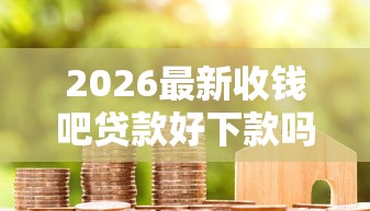 2026最新收钱吧贷款好下款吗，总结十个加盟贷款平台做代理！