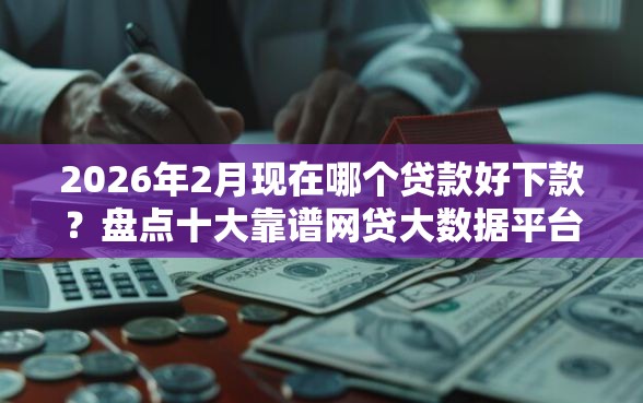2026年2月现在哪个贷款好下款？盘点十大靠谱网贷大数据平台